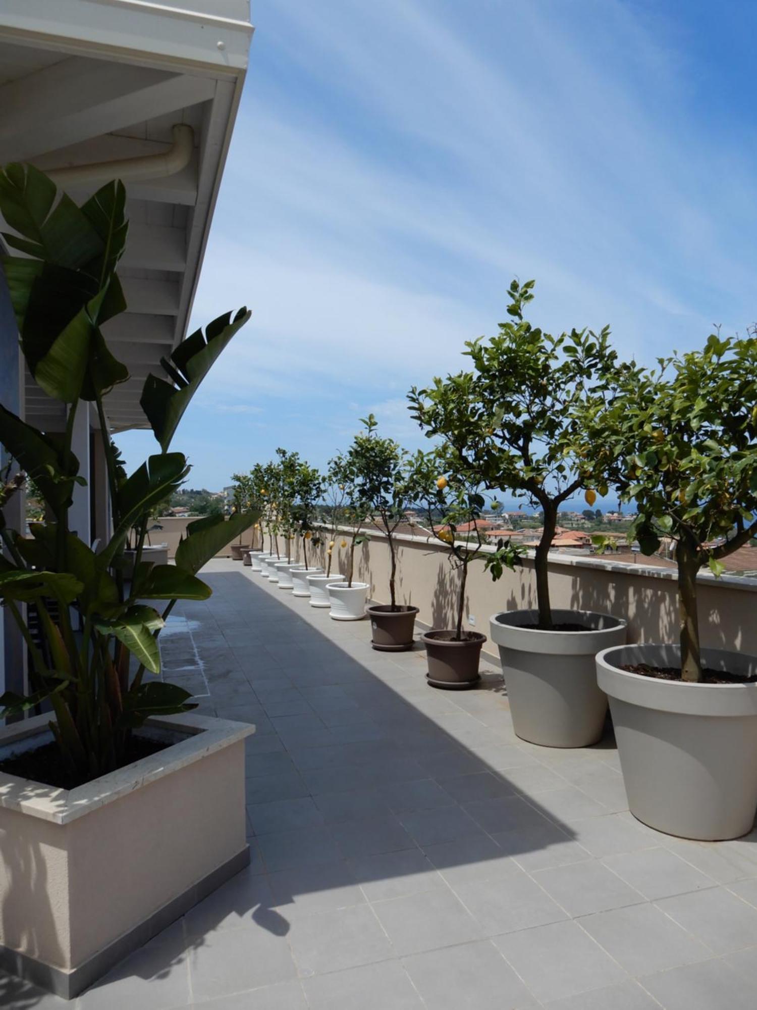 Middle Town Palace Tropea